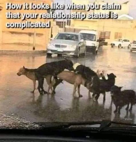 complicated_relationship_status