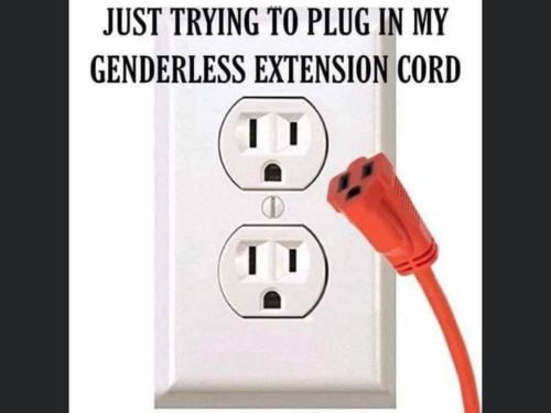 Genderless extension cord