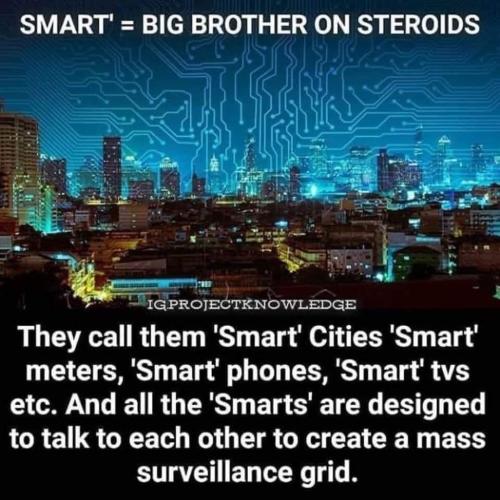 Smat 1