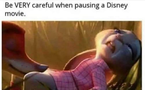 355108981_3537889209870708_2746201364250843227_n