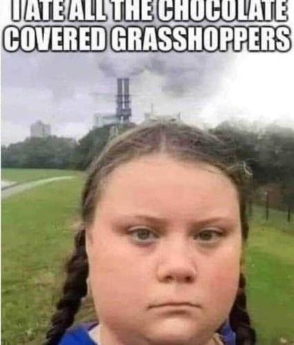 354455975_211659335115122_5224044046591308627_n