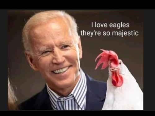 Screenshot_20230615_234604_Gallery