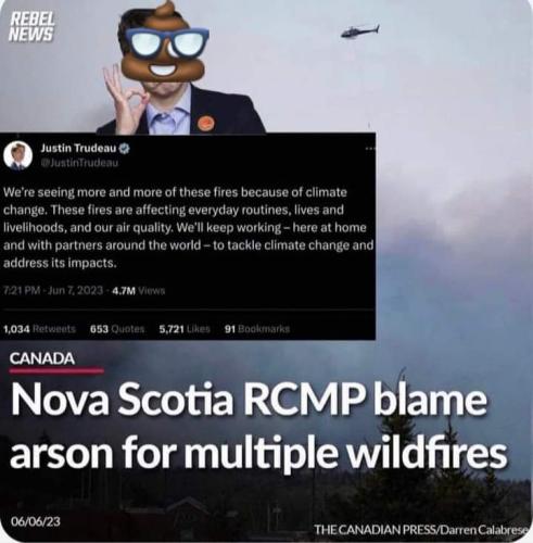 arson for wild filres