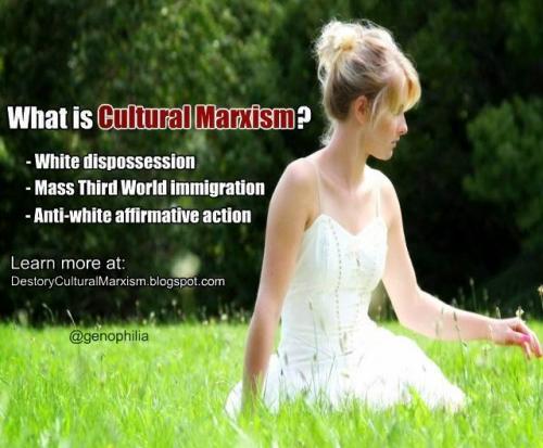 CulturalMarxism1