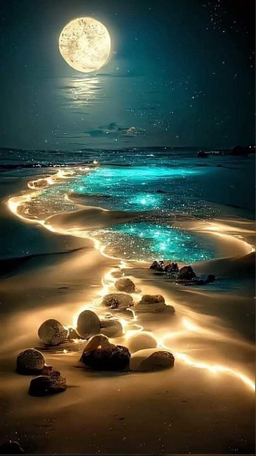 Golden beach at night