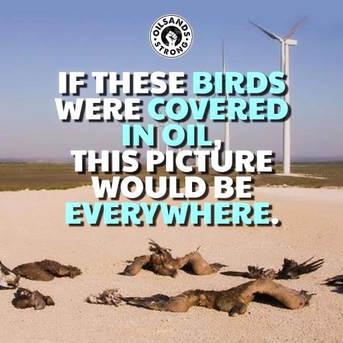 if these were covered in oil