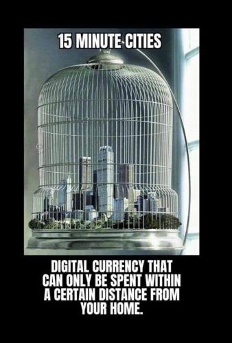 348584307_981848903131728_8117940582222585335_n