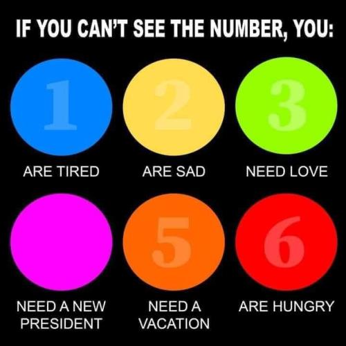 FB_IMG_1688155340091