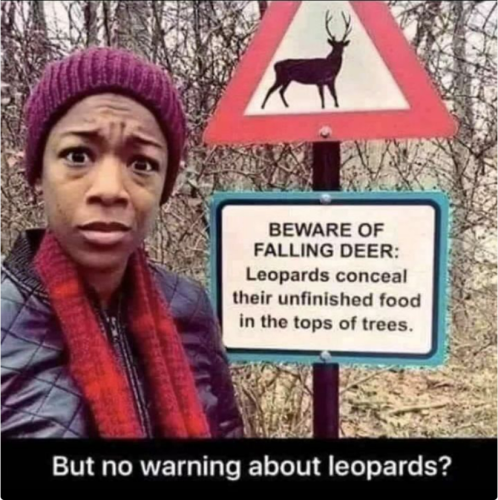 falling deer