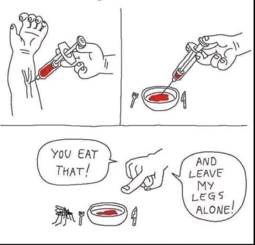you eat that