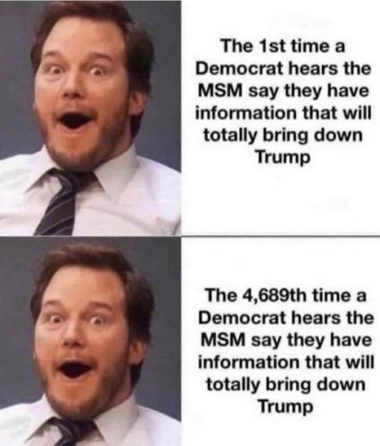 gullible_dem_idiots