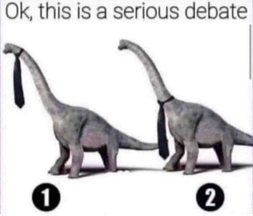 serious debate