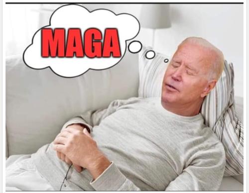 FB_IMG_1687042246649