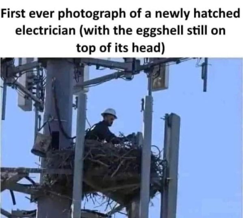 electrician g