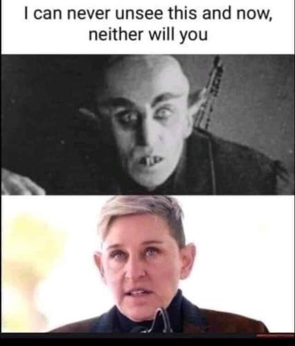 FB_IMG_1686040680225