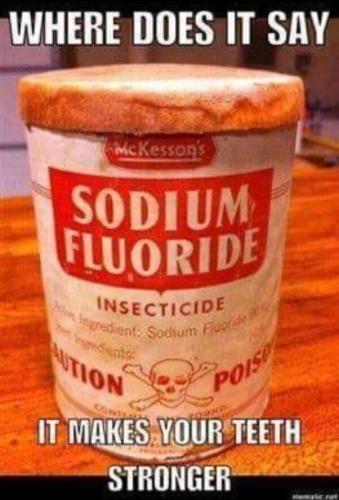 453AC715-FD05-49EB-84AA-A59DA50508B0