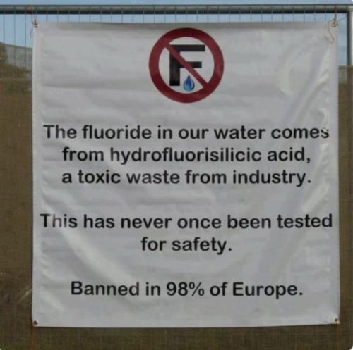 photo_2023-06-16_19-49-40