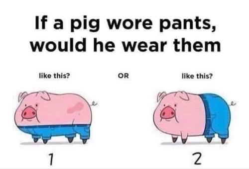 if a pig wore pants
