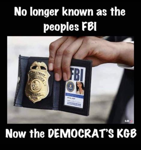 Democrats FBI