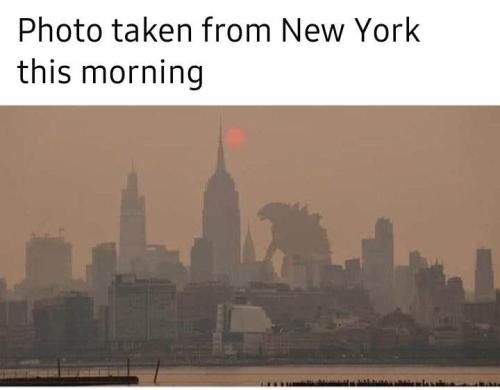 b9e7a5f2a239861e27b622de964af928