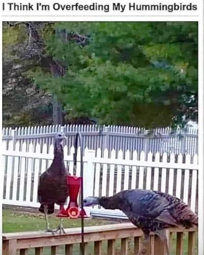 FB_IMG_1686951470124