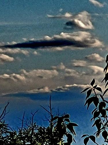 346837626_6733518960014149_5971388718402252747_n