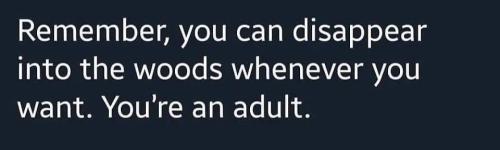 1685655441.4906049
