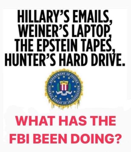 what has the FBI doing
