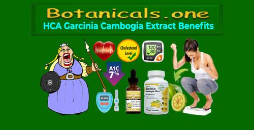 Botanicals.one - Pure Extract Garcinia Cambogia Benefits