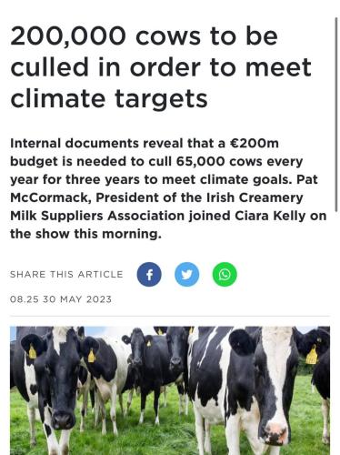 cull the cows