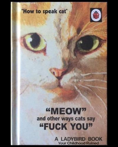 FB_IMG_1687681518890