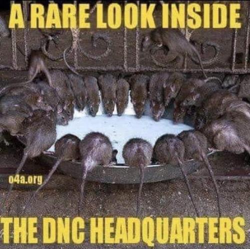 FB_IMG_1686588626646