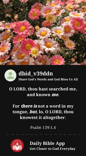 2023-06-031685847910906