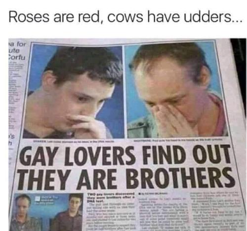 FB_IMG_1686752229419