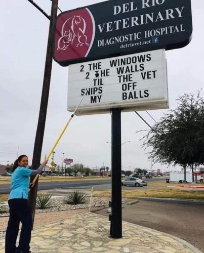 FB_IMG_1686068939556