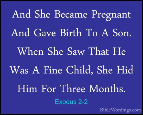 Exodus 2_2