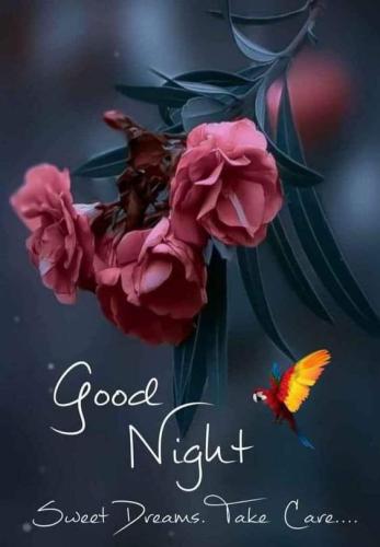 FB_IMG_1686494729886