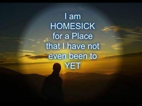 9d522196-b189-4d85-9ad5-afc621e42bd8