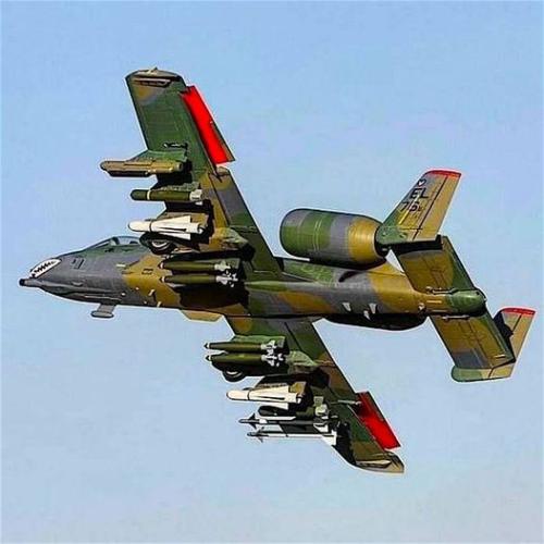 356812610_3519155678356766_7297152267758224064_n