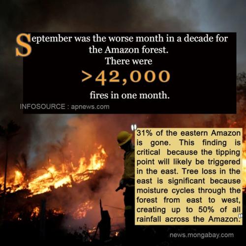 Fires 2