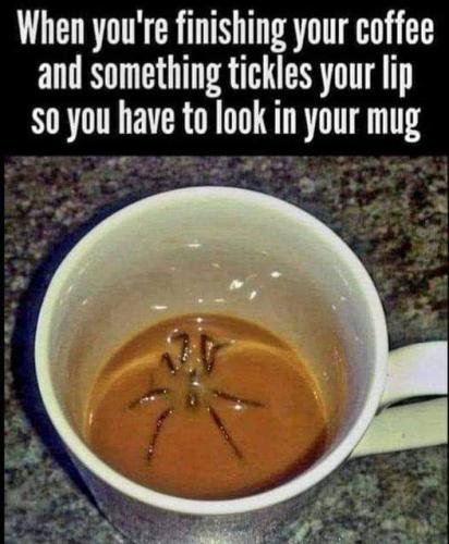 FB_IMG_1685634713227