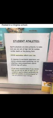 student athletes beware