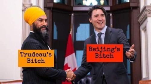 bitch boys