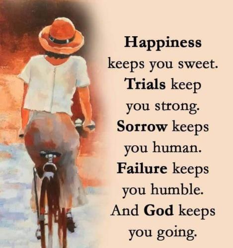 781ed975-7add-4da5-a3b4-a01791823c38