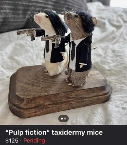 FB_IMG_1686116316819