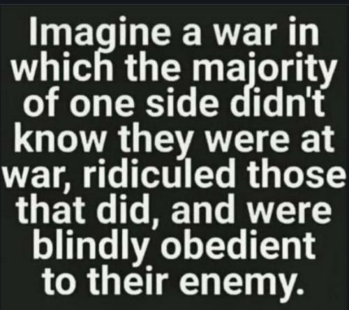 Screenshot_20230603_143608_Chrome