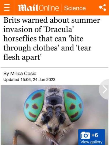 FB_IMG_1687746107483