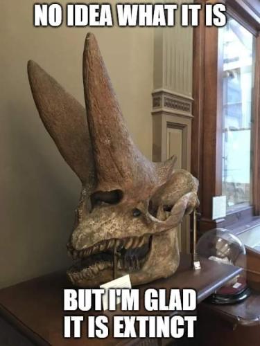 received_3541244542829317