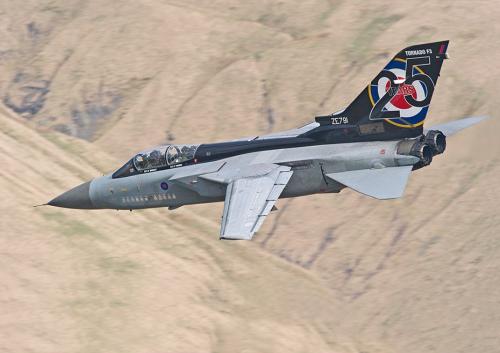 tumblr_5afbfcbb01fecfac282710e5b94efd65_20dfd1c2_1280