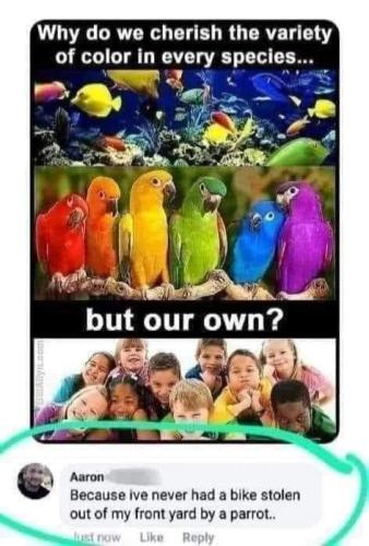 354589344_961639098492796_6030152501573909630_n